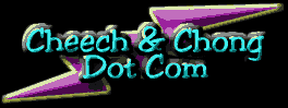 Cheech and Chong - This page features links to popular ezines and online magazines, as well as cool and award winning sites that feature entertainment related to Generation X pop culture and/or hip hop.  The Ultimate Source for Links!